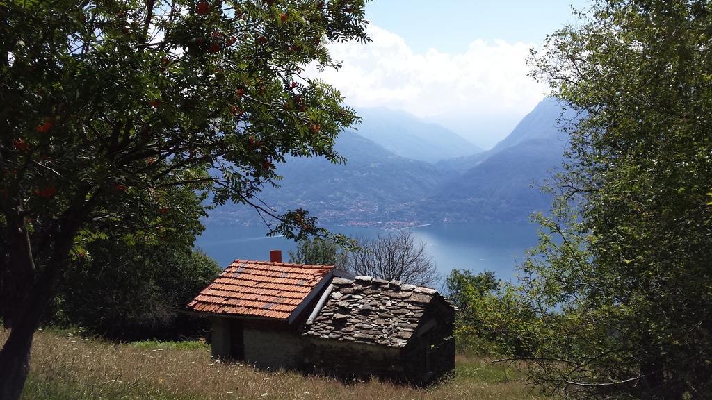 Lake Como View Apartement Allegro Acquaseria Camera foto